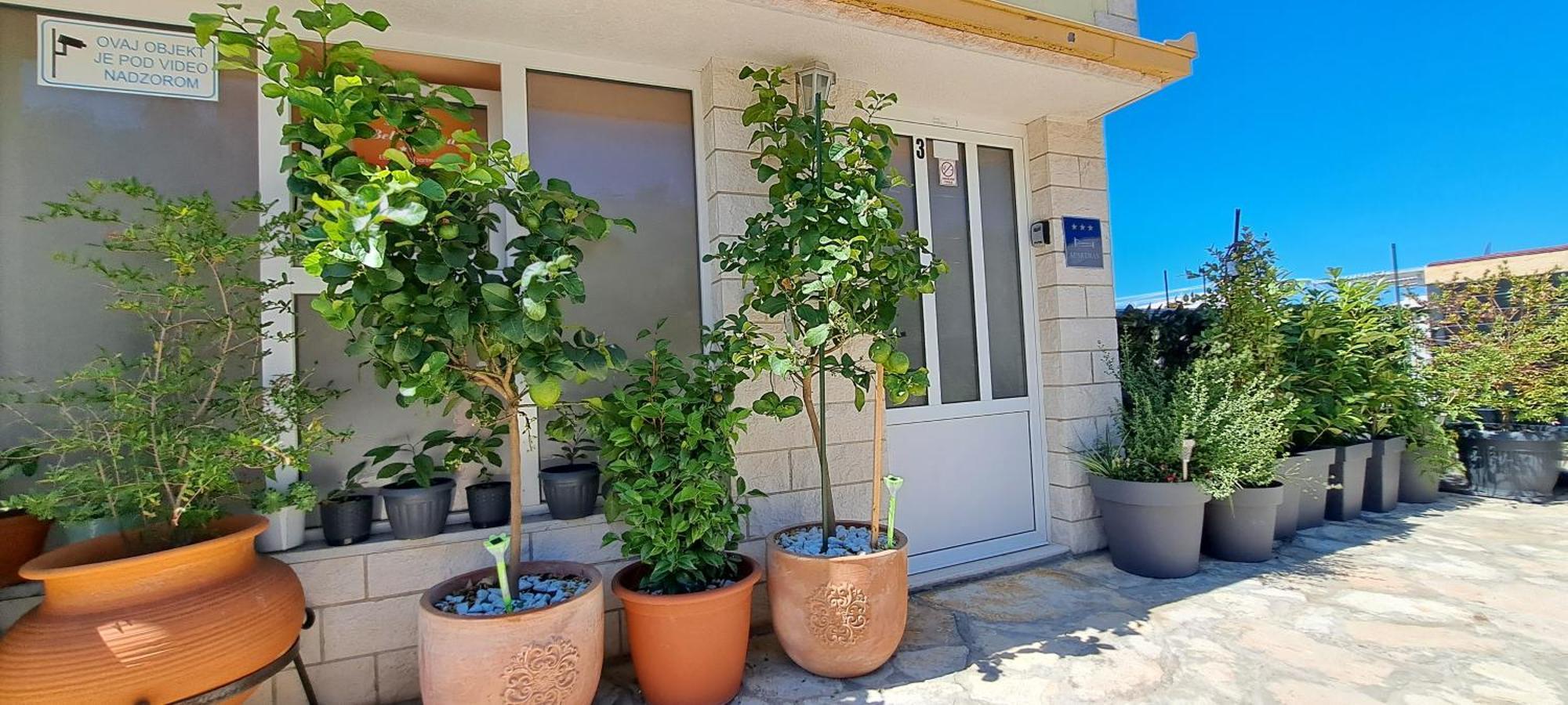 Apartments Villa Bella Vista Hvar Хвар Екстер'єр фото